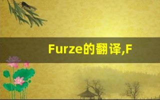 Furze的翻译,Furze怎么读,Furze造句及用法