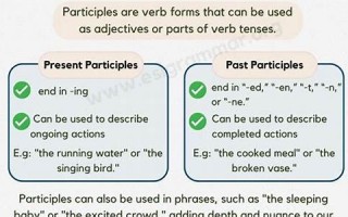 participle什么意思,participle中文翻译,participle用法及例句,participle怎么读