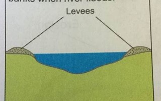 levee什么意思,levee中文翻译,levee用法及例句,levee怎么读
