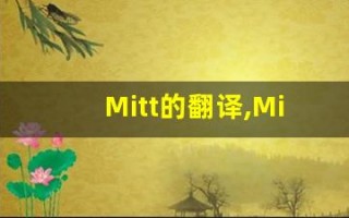 Mitt的翻译,Mitt怎么读,Mitt造句及用法
