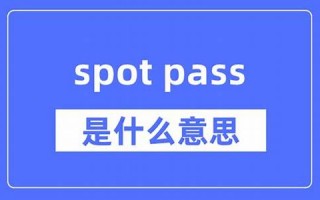 passes中文翻译,passes用法及例句,passes是什么意思,passes中文意思怎么读