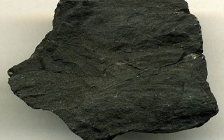 lignite什么意思,lignite中文翻译,lignite用法及例句,lignite怎么读