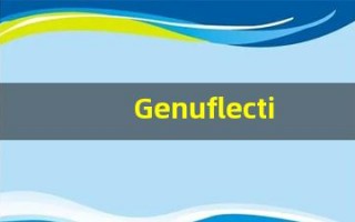 Genuflection中文意思,Genuflection中文翻译,Genuflection用法及例句,Genuflection语法