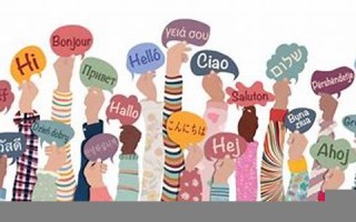 linguistic什么意思,linguistic中文翻译,linguistic用法及例句,linguistic怎么读