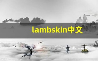 lambskin中文意思,lambskin中文翻译,lambskin用法及例句,lambskin语法