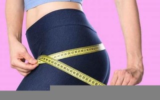 obese什么意思,obese中文翻译,obese用法及例句,obese怎么读