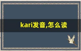 kari发音,怎么读,kari什么意思,kari例句用法