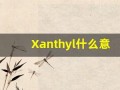Xanthyl什么意思,Xanthyl用法,Xanthyl造句,Xanthyl的发音