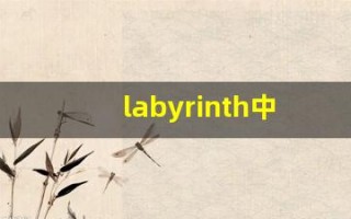 labyrinth中文意思,labyrinth中文翻译,labyrinth用法及例句,labyrinth语法