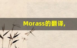 Morass的翻译,Morass怎么读,Morass造句及用法