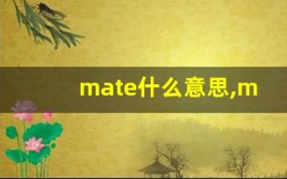 mate什么意思,mate用法,mate造句