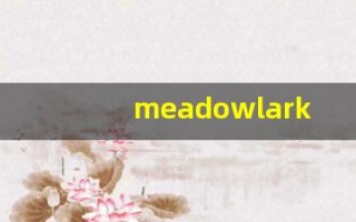 meadowlark什么意思,meadowlark用法,meadowlark造句
