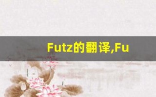 Futz的翻译,Futz怎么读,Futz造句及用法