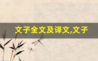 文子全文及译文,文子讲了什么,文子经典句子