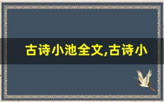 古诗小池全文,古诗小池讲了什么,古诗小池经典句子
