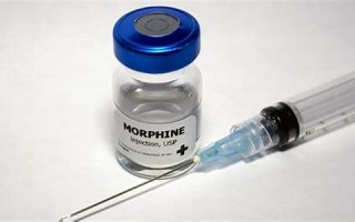 morphine什么意思,morphine中文翻译,morphine用法及例句,morphine怎么读