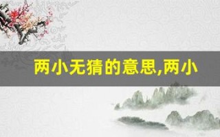 两小无猜的意思,两小无猜的近义词反义词,两小无猜造句例句,两小无猜出处及解释