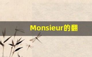 Monsieur的翻译,Monsieur怎么读,Monsieur造句及用法