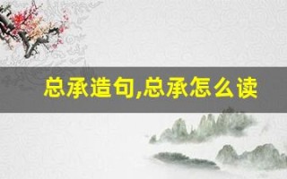 总承造句,总承怎么读,总承的意思,总承的组词