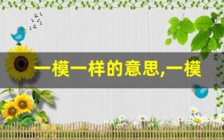 一模一样的意思,一模一样的近义词反义词,一模一样造句例句,一模一样出处及解释