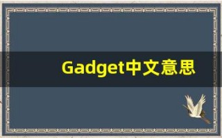 Gadget中文意思,Gadget中文翻译,Gadget用法及例句,Gadget语法