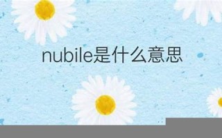 nubile什么意思,nubile中文翻译,nubile用法及例句,nubile怎么读