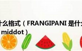 obtuse什么意思,obtuse中文翻译,obtuse用法及例句,obtuse怎么读