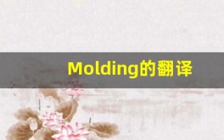 Molding的翻译,Molding怎么读,Molding造句及用法