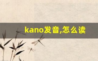 kano发音,怎么读,kano什么意思,kano例句用法