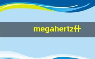 megahertz什么意思,megahertz用法,megahertz造句