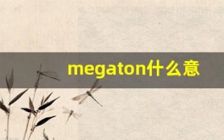 megaton什么意思,megaton用法,megaton造句