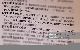 profiteering什么意思,profiteering中文翻译,profiteering用法及例句,profiteering怎么读
