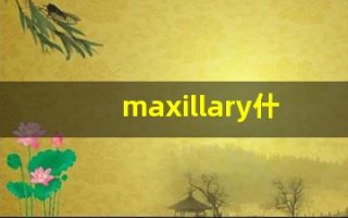 maxillary什么意思,maxillary用法,maxillary造句