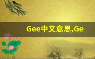 Gee中文意思,Gee中文翻译,Gee用法及例句,Gee语法