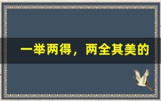 一举两得，两全其美的意思,一举两得，两全其美的近义词反义词,一举两得，两全其美造句例句,一举两得，两全其美出处及解释