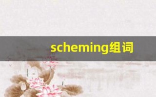scheming组词,scheming中文翻译,scheming造句,scheming的发音
