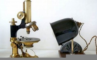 microscopic什么意思,microscopic中文翻译,microscopic用法及例句,microscopic怎么读