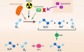 oxidation什么意思,oxidation中文翻译,oxidation用法及例句,oxidation怎么读