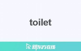 toilet中文翻译,toilet发音,toilet用法及例句,toilet是什么意思