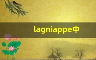 lagniappe中文意思,lagniappe中文翻译,lagniappe用法及例句,lagniappe语法