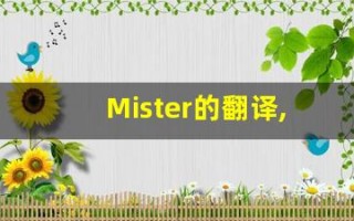Mister的翻译,Mister怎么读,Mister造句及用法