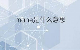 manse什么意思,manse中文翻译,manse用法及例句,manse怎么读