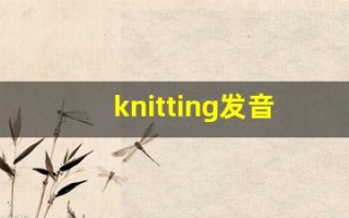knitting发音,怎么读,knitting什么意思,knitting例句用法