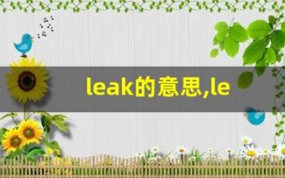 leak的意思,leak同义词,leak用法及例句,leak语法