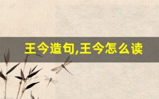 王今造句,王今怎么读,王今的意思,王今的组词