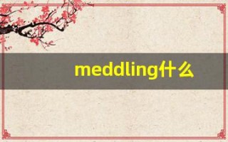 meddling什么意思,meddling用法,meddling造句