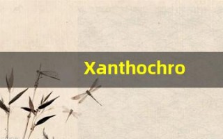 Xanthochroous什么意思,Xanthochroous用法,Xanthochroous造句,Xanthochroous的发音