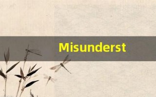 Misunderstanding的翻译,Misunderstanding怎么读,Misunderstanding造句及用法
