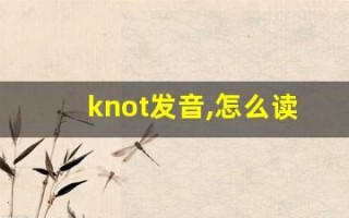 knot发音,怎么读,knot什么意思,knot例句用法