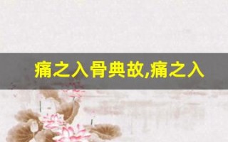 痛之入骨典故,痛之入骨故事,痛之入骨是什么意思